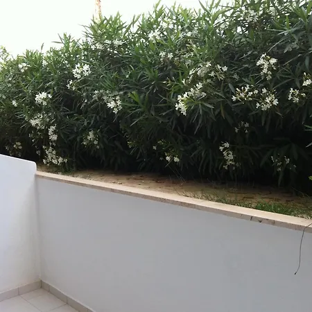 Sidari Beach Hotel Hotel Sidárion