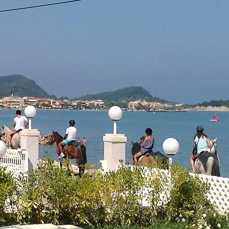 Szálloda Sidari Beach Hotel 3*