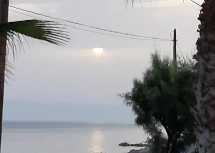 Sidari Beach Hotel Hotel