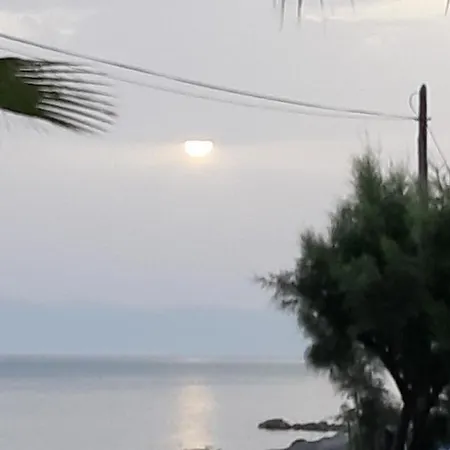 Sidari Beach Hotel Hotell